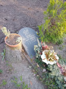 Kreuzworträtsel Mord 1 Grabstelle von Lars Bense 1973 1981 Opfer des Kreuzwortraetselmordes