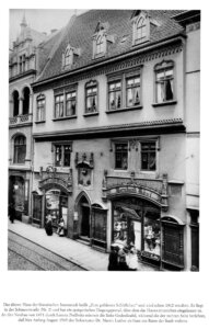 goldenes schloesschen2